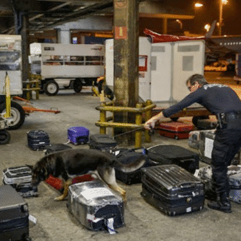 aeroporto-area-restrita_capa “Aeroporto: Área Restrita” mexe com ansiedade de quem vai viajar