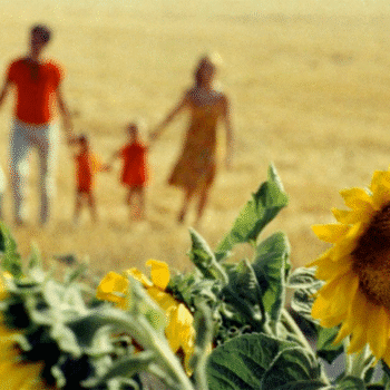 as-duas-faces-da-felicidade_capa Agnès Varda satiriza a ideia de família perfeita em “As Duas Faces da Felicidade” (1965)